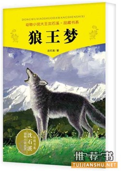 【书单】30本好书,提高孩子语文素养必备