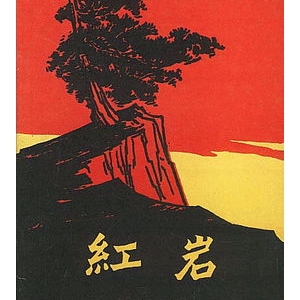 《红岩》小说简介主要内容_红岩读后感