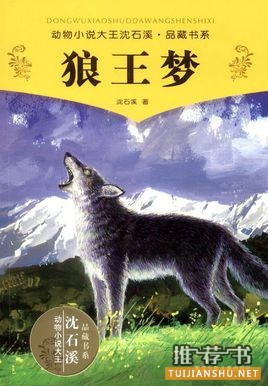 沈石溪的作品《狼王梦》简介主要内容_狼王梦读后感
