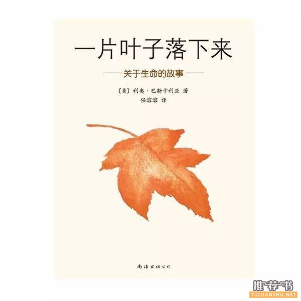 儿童书籍:这些加印超过20次的爆款童书