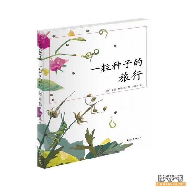 儿童书籍:这些加印超过20次的爆款童书