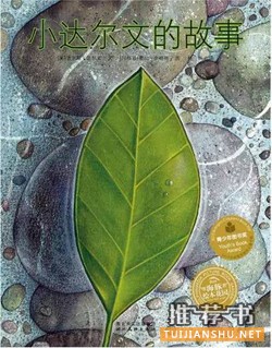 人物故事:适合1-3年级小学生看的绘本中的人物故事