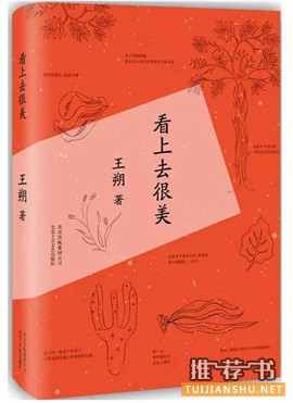 轻松搞笑小说推荐：7本让你笑到不能自理的书
