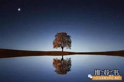 如何疼惜我们的世界、自然?这些书有动人故事也有方法论