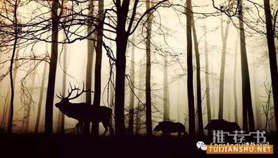 如何疼惜我们的世界、自然?这些书有动人故事也有方法论