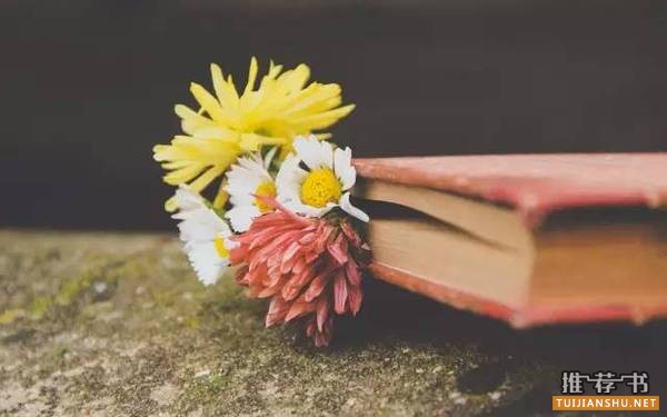 寒假来临｜重点中学语文老师推荐了这50本书