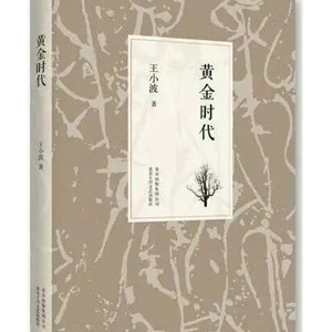 小故事下的大时代：推荐5本带有深深时代烙印的书