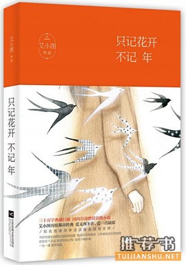 艾小图作品《只记花开不记年》国内首部燃情公路小说