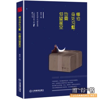 夏至作品《哪怕身处沟壑,也要仰望星空》