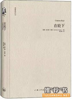 青春期的孩子该看什么书？5本成长小说，最适合青春期的孩子