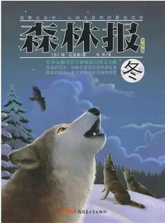 儿童科普书籍,满足孩子的兴趣,又能学到简单的知识