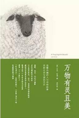 幽默小说推荐:5本轻松幽默的小说,专治各种不开心