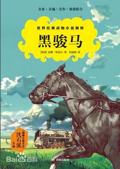 推荐理由_黑骏马读后感