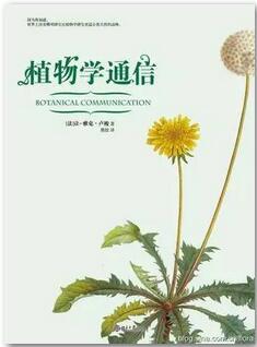 生命的奇迹——10本与植物有关的书籍