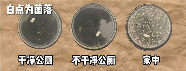 别再踩公厕马桶圈了!实验表明:家中的马桶圈可能比公厕更脏