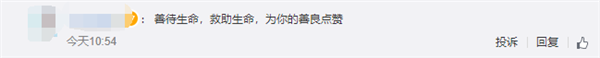 小鸟撞车昏迷男子做心肺复苏成功救活 网友点赞
