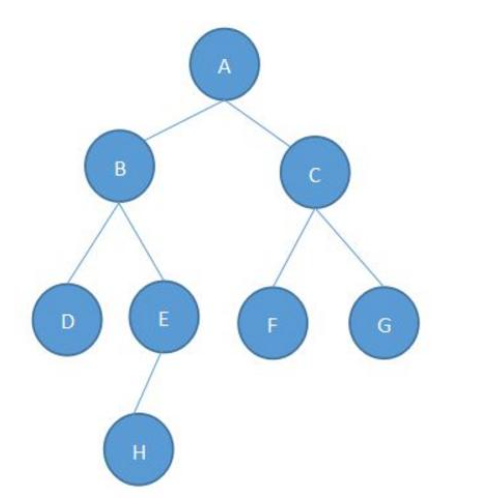 数据结构初阶–二叉树介绍（基本性质+堆实现顺序结构）