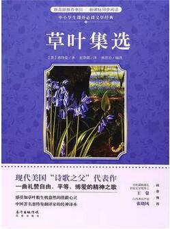5本同性恋小说,揭开同性之爱的甜蜜与酸楚