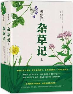 6本值得强力推荐的书:别再用平常的眼光看世界了