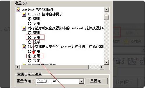 ActiveX(activex控件怎么启用)