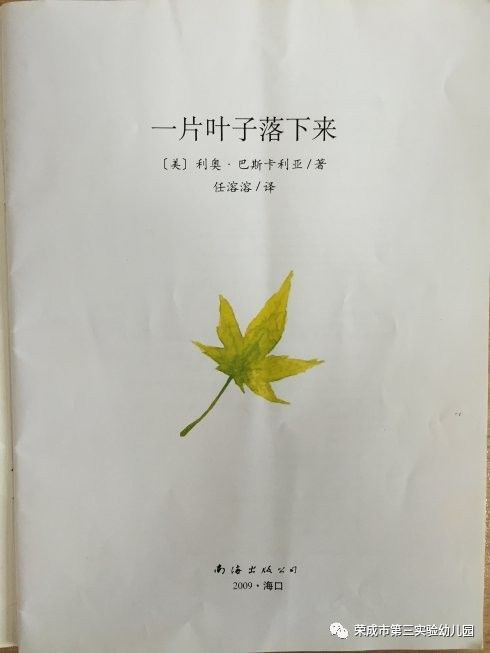 生命教育绘本故事一片叶子落下来