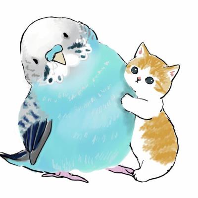 治愈猫咪头像,治愈系猫咪头像