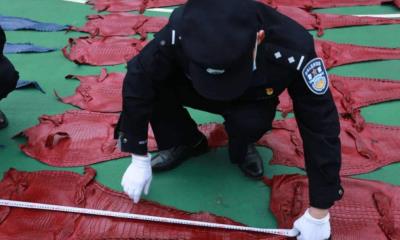 鳄鱼每次称霸都被地球破坏,每次在马上称霸时被地球针对