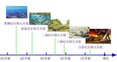 鳄鱼每次称霸都被地球破坏,每次在马上称霸时被地球针对