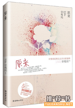 陪你走过青春的25部经典言情小说
