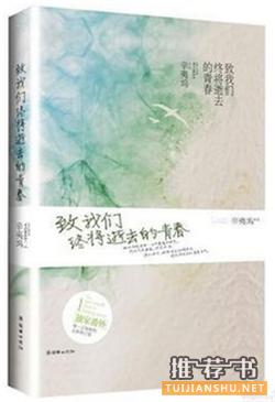陪你走过青春的25部经典言情小说