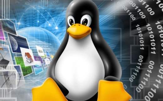 linux命令详解词典(linux基本命令的使用)