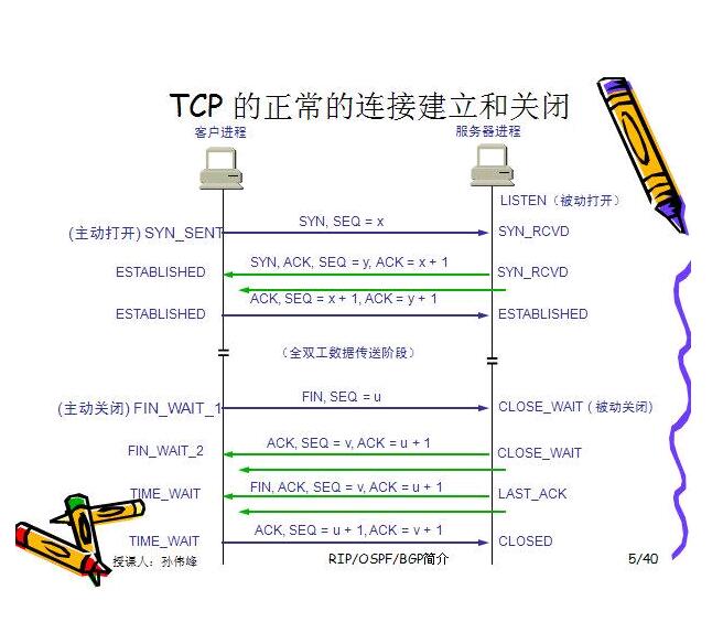 tcp