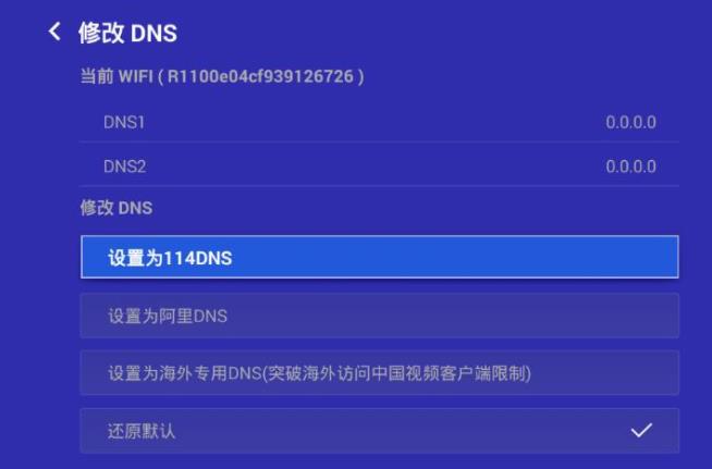 dns怎么设置(手机dns怎么设置网速快)