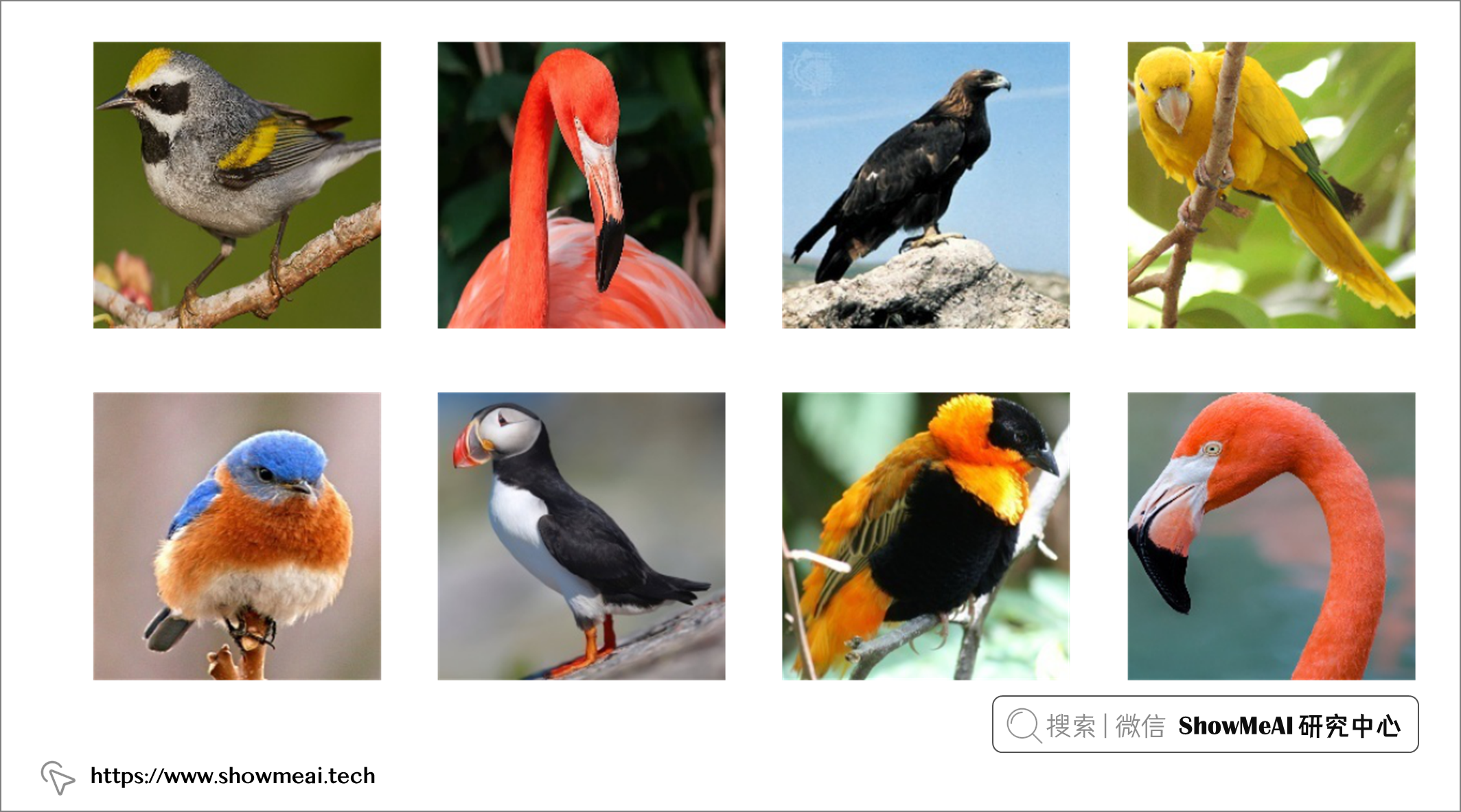 一定要用Photoshop?no!动手用Python做一个颜色提取器! ⛵