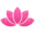 瓷都网