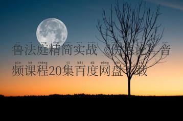 鲁法庭精简实战《伤寒论》音频课程20集百度网盘下载