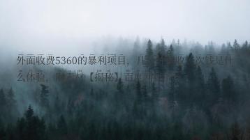 外面收费5360的暴利项目，几分钟就收一次钱是什么体验，附素材【揭秘】百度网盘下载