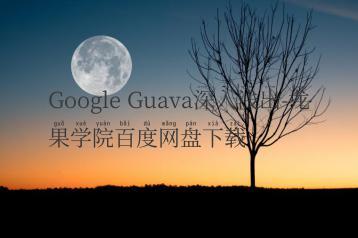 Google Guava深入浅出-龙果学院百度网盘下载