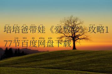 培培爸带娃《爱数学》攻略177节百度网盘下载