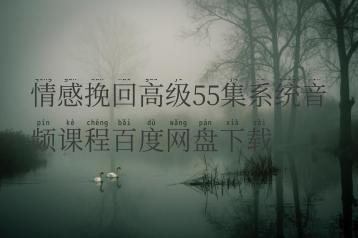 情感挽回高级55集系统音频课程百度网盘下载