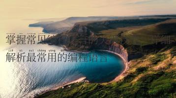 掌握常见编程语言的关键技能，详细解析最常用的编程语言