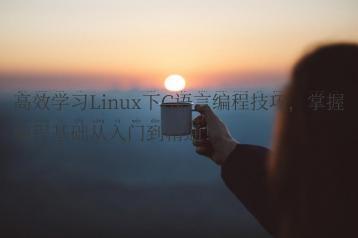 高效学习Linux下C语言编程技巧，掌握编程基础从入门到精通！