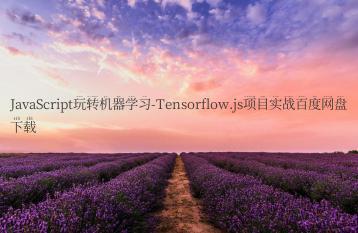 JavaScript玩转机器学习-Tensorflow.js项目实战百度网盘下载