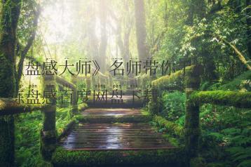 《盘感大师》名师带你手把手训练盘感百度网盘下载