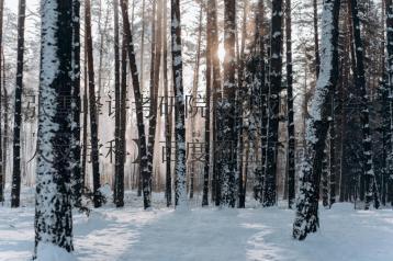 张雪峰讲考研院校规划【社会人文学科】百度网盘下载