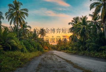 若风《龙头的黄金博弈短训营》21天掌握一个龙头战法百度网盘下载