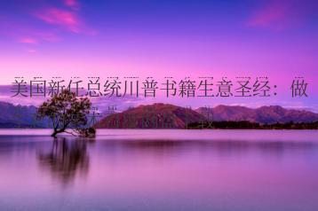 美国新任总统川普书籍生意圣经：做生意的艺术百度网盘下载