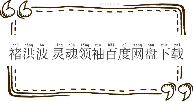 褚洪波 灵魂领袖百度网盘下载