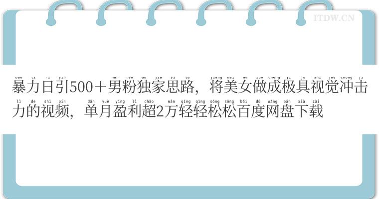 暴力日引500＋男粉独家思路，将美女做成极具视觉冲击力的视频，单月盈利超2万轻轻松松百度网盘下载