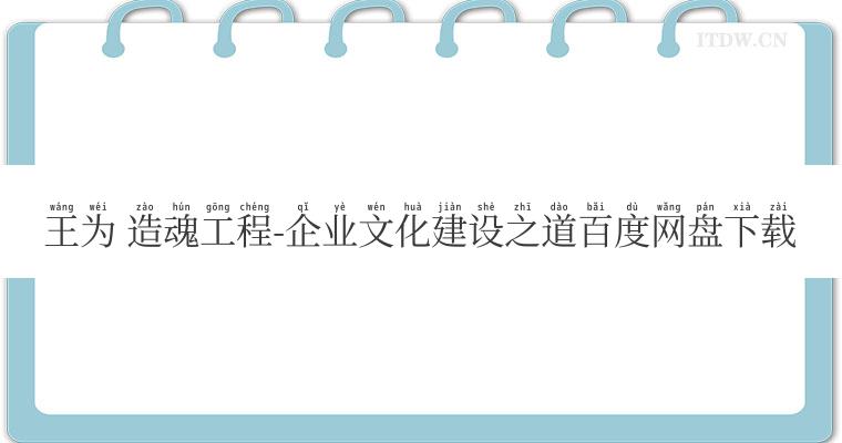 王为 造魂工程-企业文化建设之道百度网盘下载